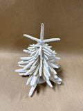 Starfish Tree