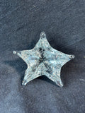 Clear Glass Star Fish Shaped Paperweight