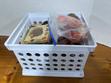 Fall Supply Lot