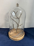 Branch Taper Holder Under A Glass  Cloche With Wooden Base