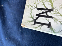 (B) Lot of Novels (6)