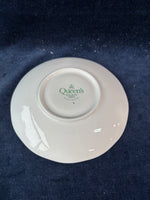 Queens Tea Cup And Saucer January Carnations