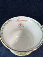 Queens Tea Cup And Saucer January Carnations