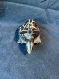 Hand Carved Wooden Turtle
