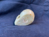 Hand-Carved Soapstone Elephant Trinket Dish (A)