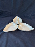 Lenox Eternal Leaf 3-Part Divided Server (BB)