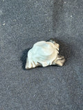 Lladro Little Frog Figurine