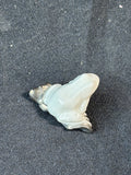Lladro Little Frog Figurine