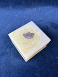 Floral Alabaster Trinket Box