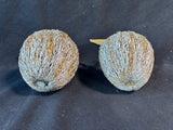 Pair Of Silver/Gold Tone Straw Apple Decor