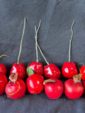 Assorted Faux Apple Decor Lot *Read Description*