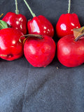 Assorted Faux Apple Decor Lot *Read Description*