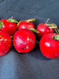 Assorted Faux Apple Decor Lot *Read Description*
