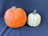 Halloween Lot (2)