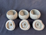 Set Of 3 Williams Sonoma Harvest Fall Pumpkin Gourd Soup Bowl Tureens