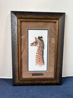 Framed Giraffe Print By Sherry Steele