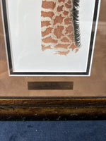 Framed Giraffe Print By Sherry Steele