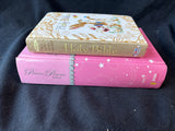Lot Of 2 Children’s Bibles