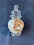 Jar Full Of Assorted Sea Shells