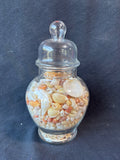 Jar Full Of Assorted Sea Shells