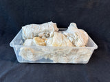 Fitz & Floyd Style White Porcelain 8-Piece Nativity Set