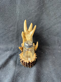 Faux Antler Salt & Pepper Caddy Set- 3 PCs
