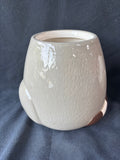World Market Ceramic Raccoon Cookie Jar *Read Description*