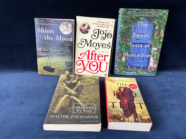 (A)Lot Of Fiction Book Lot (5)