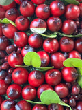 Red Berry Cone Tree