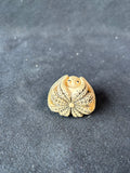 Japanese Netsuke Octopus, Signed "PMS"