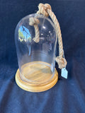 Glass Dome Cloche Bell Jar With Rope And Wood Base