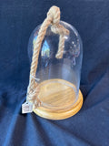 Glass Dome Cloche Bell Jar With Rope And Wood Base