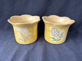 Pair of Hand-Painted Floral Pottery Cachepots / Planters