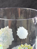 Plastic Floral Pitcher