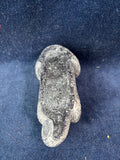 Wolf Originals Collectible Baby Otter Figurine