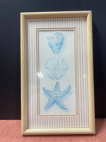 Framed Seashells Watercolor Print