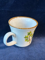 Set Of 6 Mikasa Natural Beauty Central Park Coffee Mug