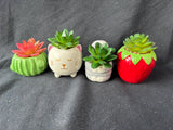 Faux Succulent Lot (4)