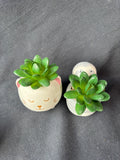 Faux Succulent Lot (4)