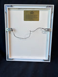 Jan Peterson "She Felt As If She Could Fly" 19 of 600 Framed Embossed Art Print