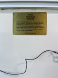 Jan Peterson "She Felt As If She Could Fly" 19 of 600 Framed Embossed Art Print