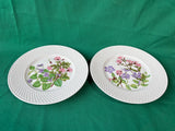 Set Of 6 Spode Fine Bone China England Wildflower Luncheon Plates