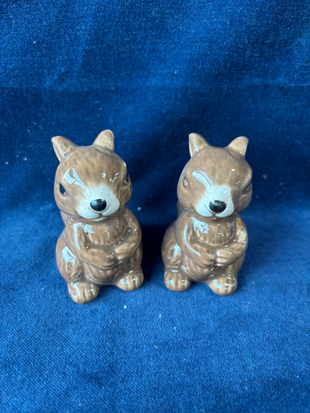 Pair Of Squirrel Salt And Pepper Shakers