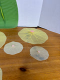 Charles Viancin Italy Pad Silicone Lid Covers (6)