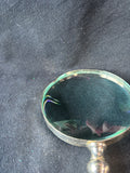 Magnifying Glass W/ Faux Horn Handle