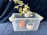 Pair Of Small Faux Flowers In Pots