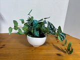 Artificial Greenery In Pot