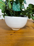 Artificial Greenery In Pot