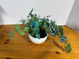 Artificial Greenery In Pot