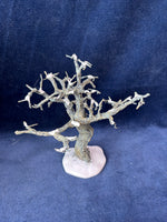 (T)Dept. 56 Village Accessories Craggy Oak Tree